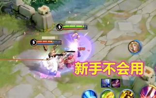 教官爆料凤求凰视频播放,凤求凰视频幕后真相，播放背后隐藏的秘密