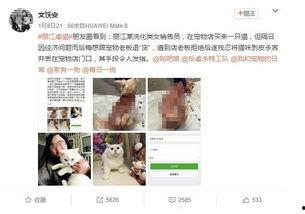 保定宠物店爆料视频大全,揭露行业黑幕与温馨瞬间 第3张 保定宠物店爆料视频大全,揭露行业黑幕与温馨瞬间 第3张