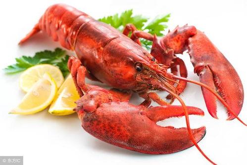 龙虾最新爆料新闻内容